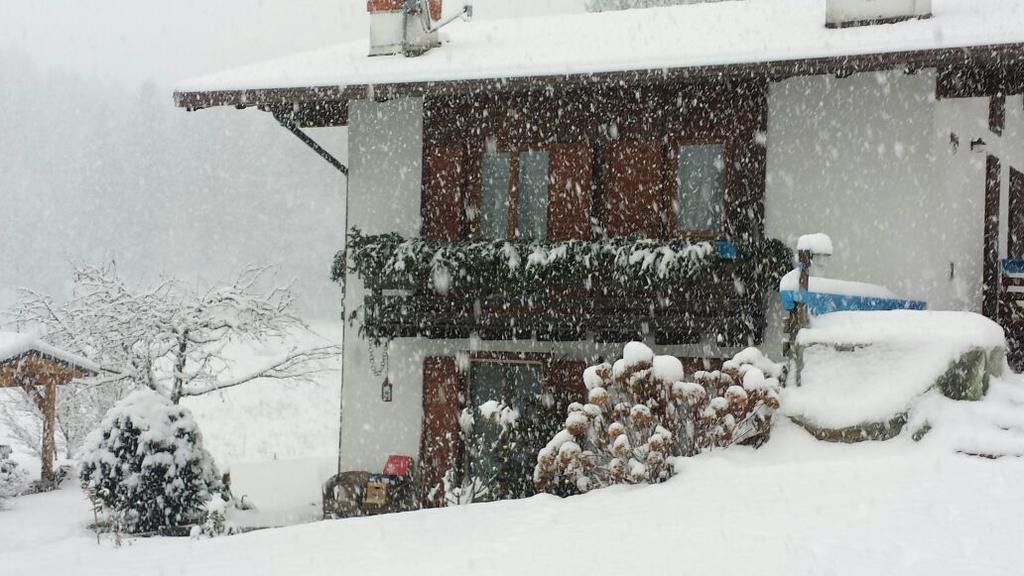 Chalet Monica Molina di Ledro Exterior foto